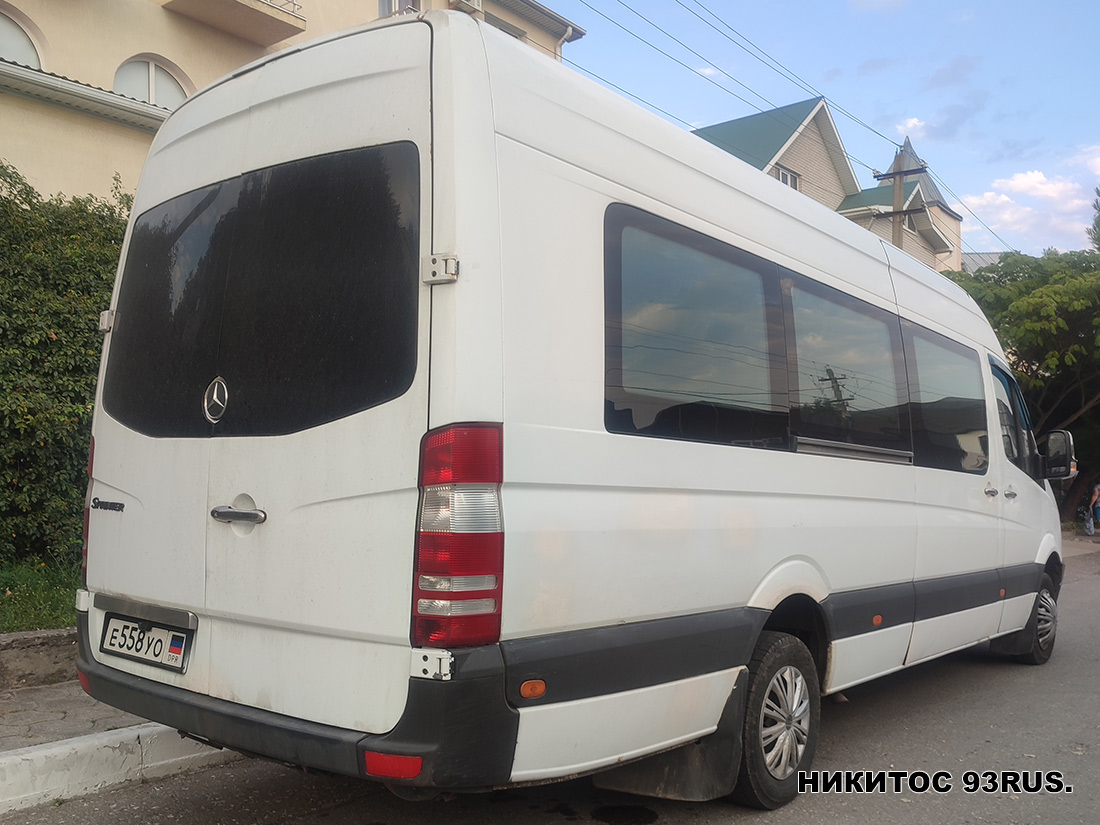 Донецкая область, Mercedes-Benz Sprinter W906 515CDI № Е 558 УО
