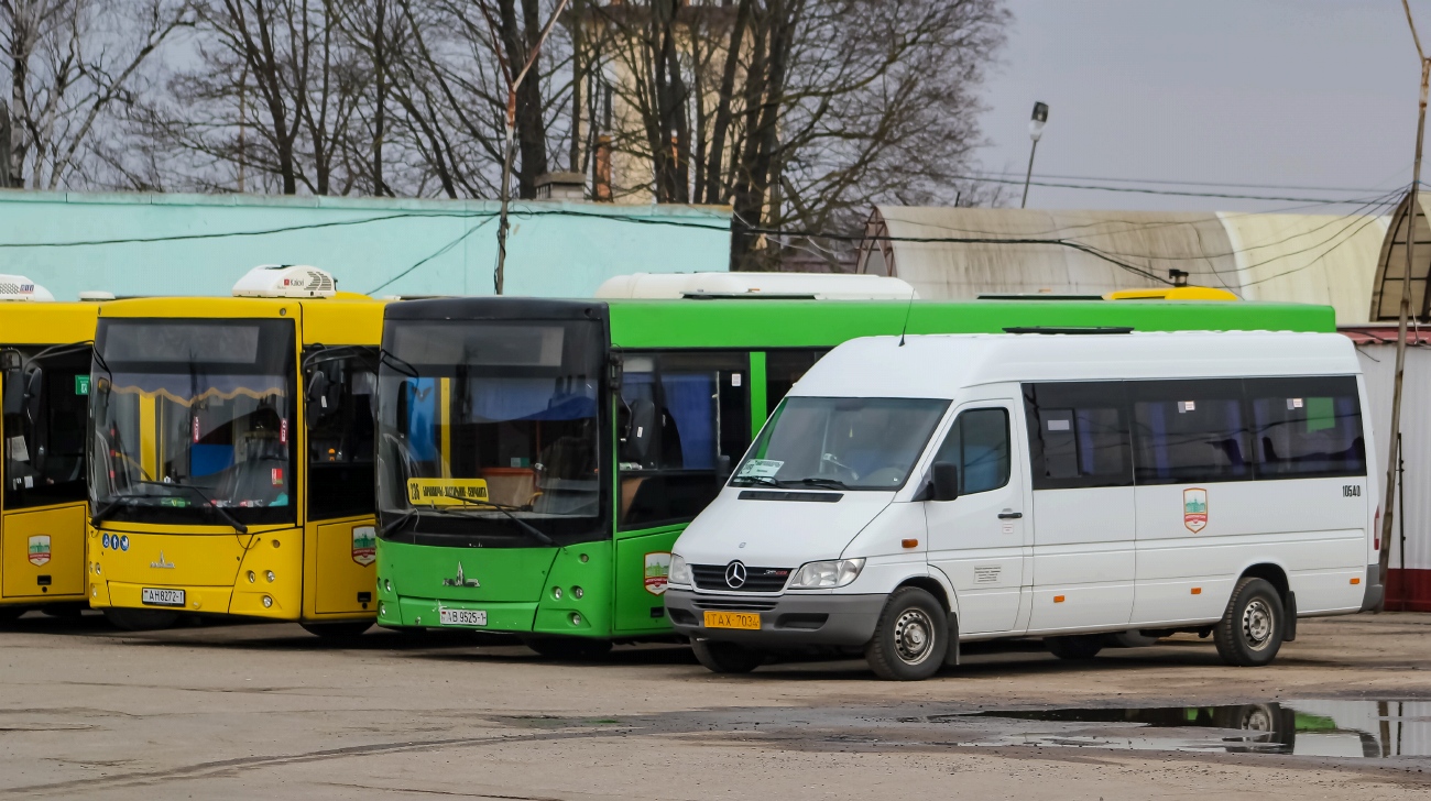 Брестская область, Спринтбелавто-4055 (MB Sprinter) № 10540