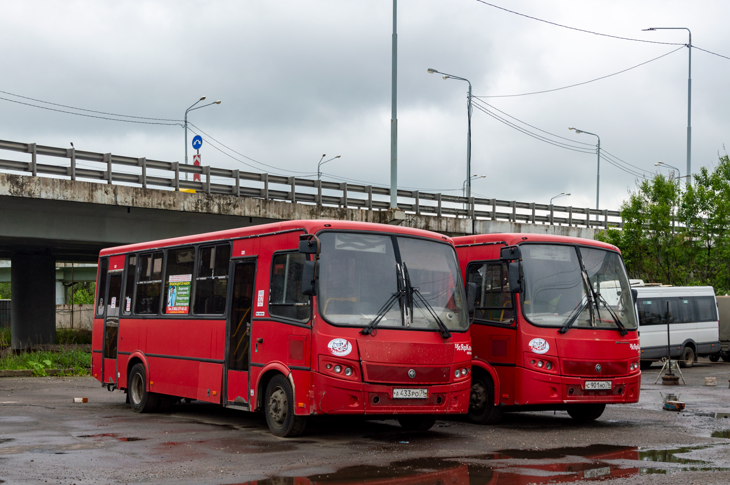 Ярославская область, ПАЗ-320412-04 "Вектор" № 3133