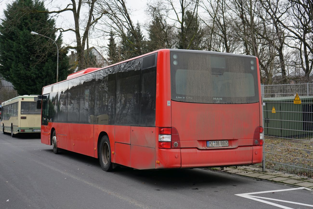 Рейнланд-Пфальц, MAN A20 Lion's City Ü NÜ313 № MZ-DB 8665