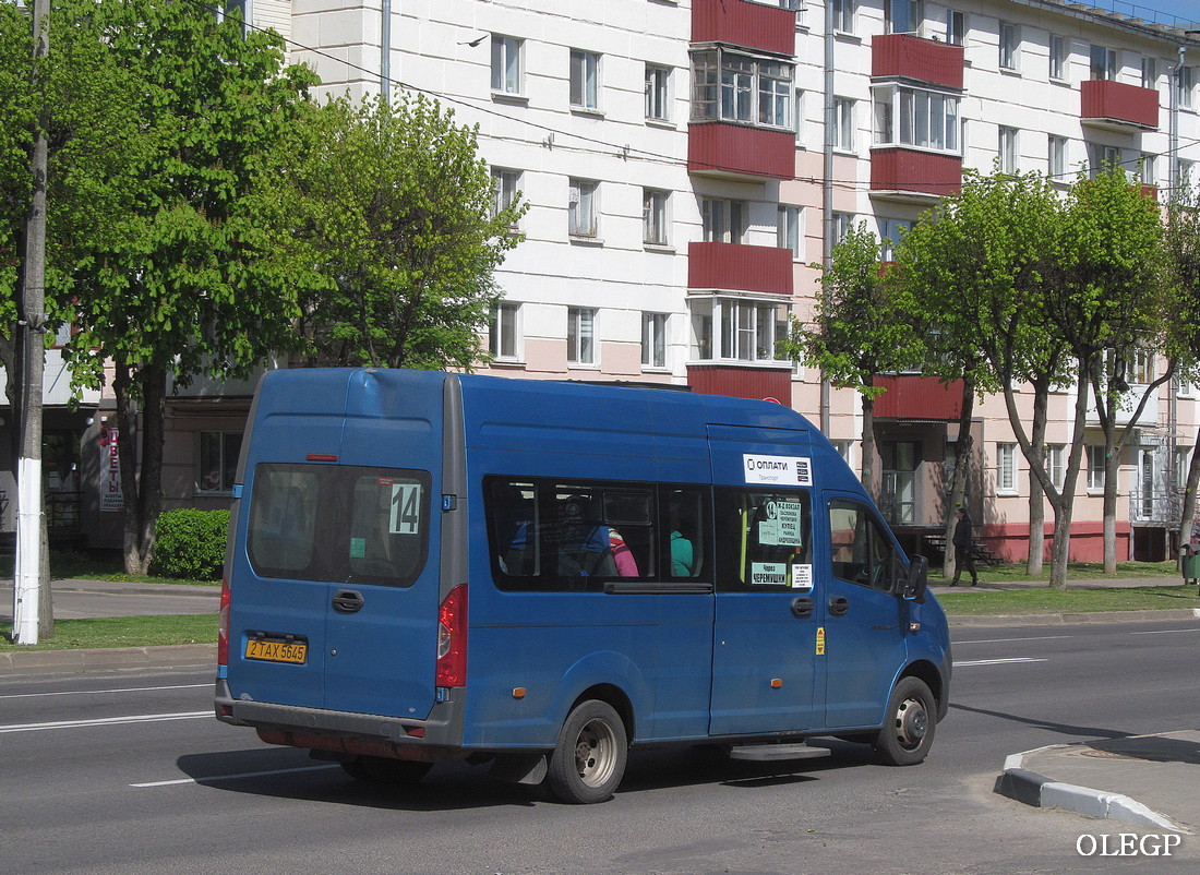 Витебская область, ГАЗ-A62/A65/A66/A69 Next № 2 ТАХ 5645