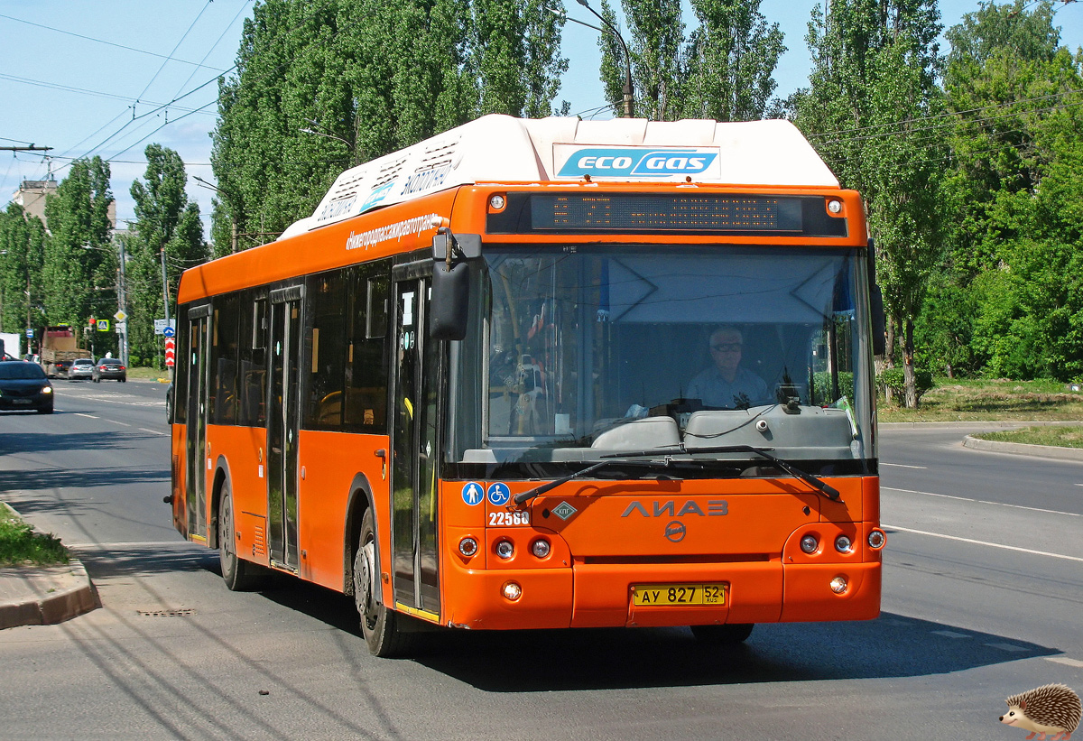 Нижегородская область, ЛиАЗ-5292.67 (CNG) № 22580