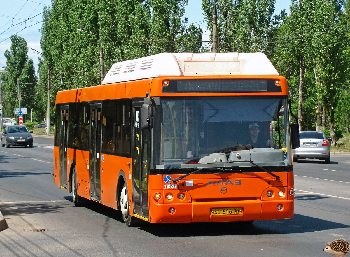 Нижегородская область, ЛиАЗ-5292.67 (CNG) № 20538