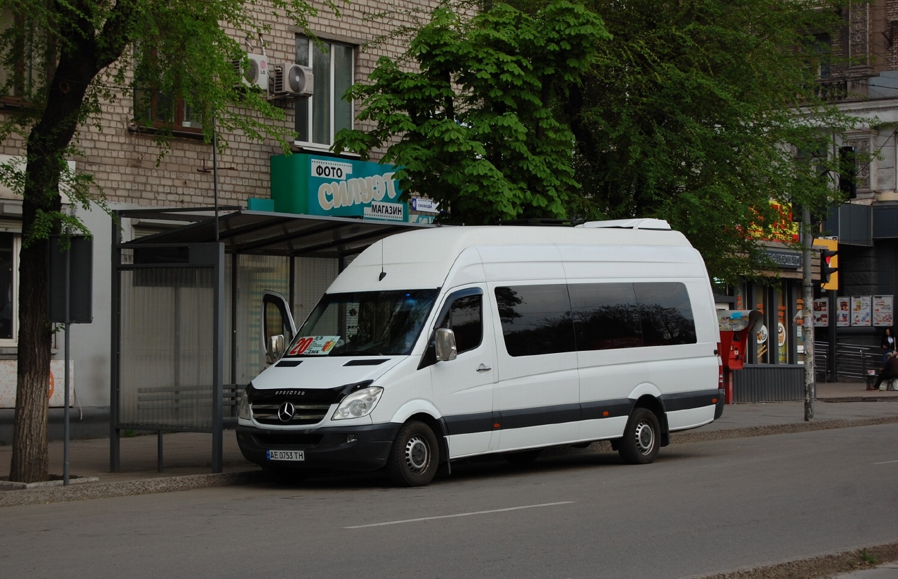 Днепропетровская область, Mercedes-Benz Sprinter W906 319CDI № AE 0753 TH