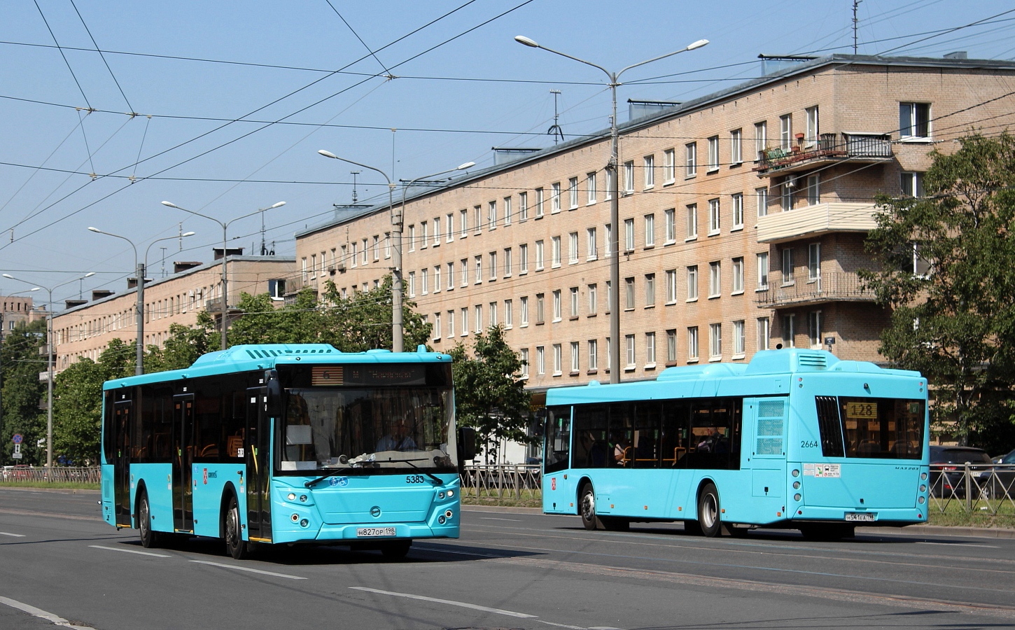 Санкт-Петербург, ЛиАЗ-5292.65 № 5383; Санкт-Петербург, МАЗ-203.047 № 2664