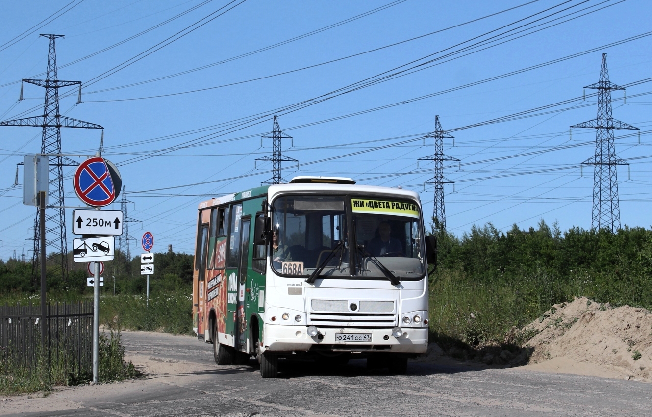 Ленинградская область, ПАЗ-320402-05 № О 241 СС 47