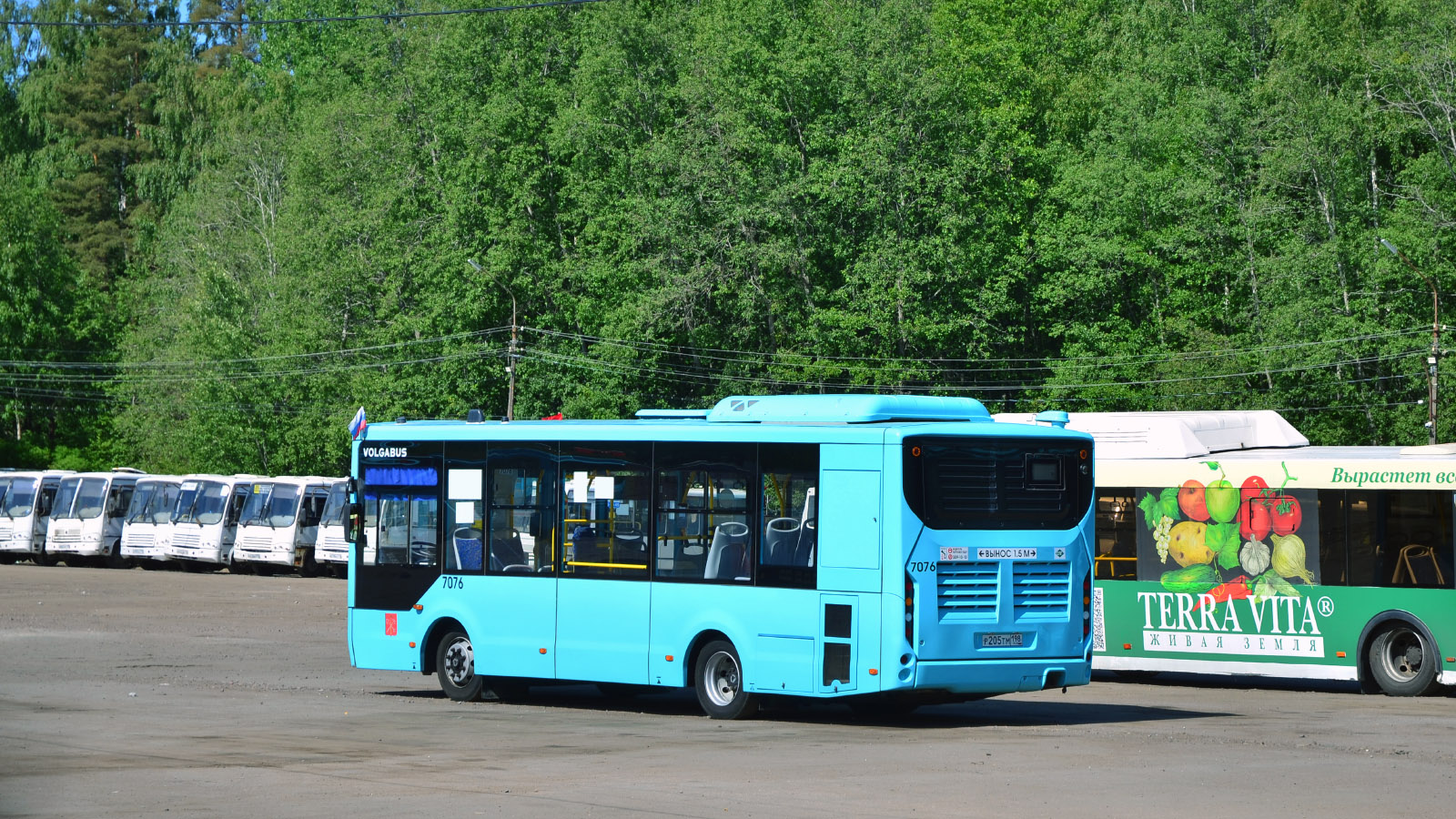 Санкт-Петербург, Volgabus-4298.G4 (LNG) № 7076; Санкт-Петербург, ЛиАЗ-5292.67 (CNG) № 4489
