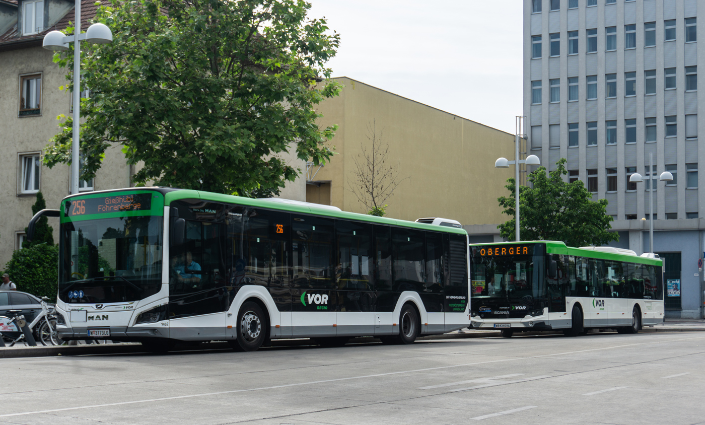 Австрия, MAN 12C Lion's City 12 NL330 EfficientHybrid № 1462