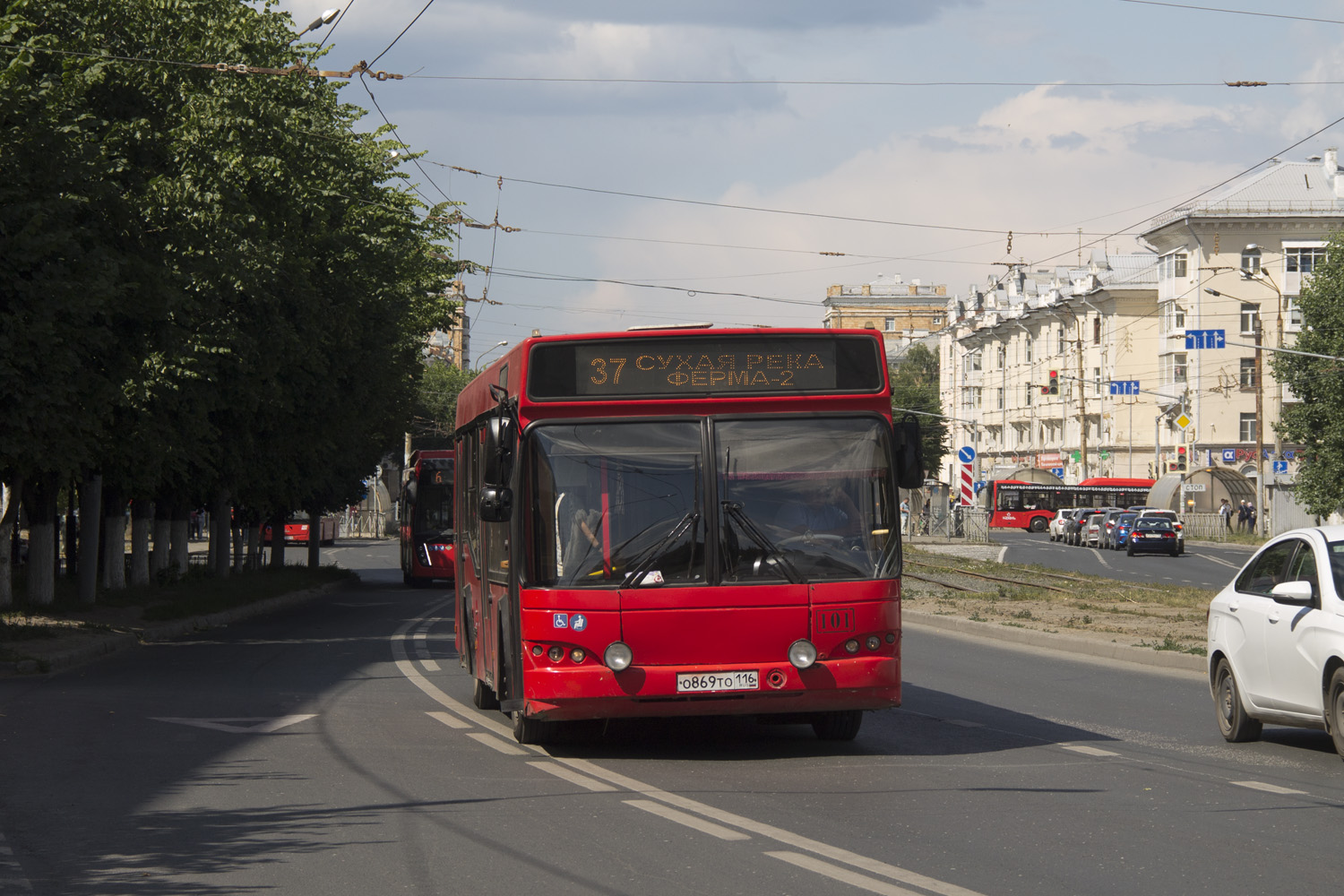 Татарстан, МАЗ-103.465 № 101