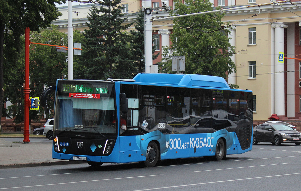 Kemerovo region - Kuzbass, NefAZ-5299-30-57 Nr. 393