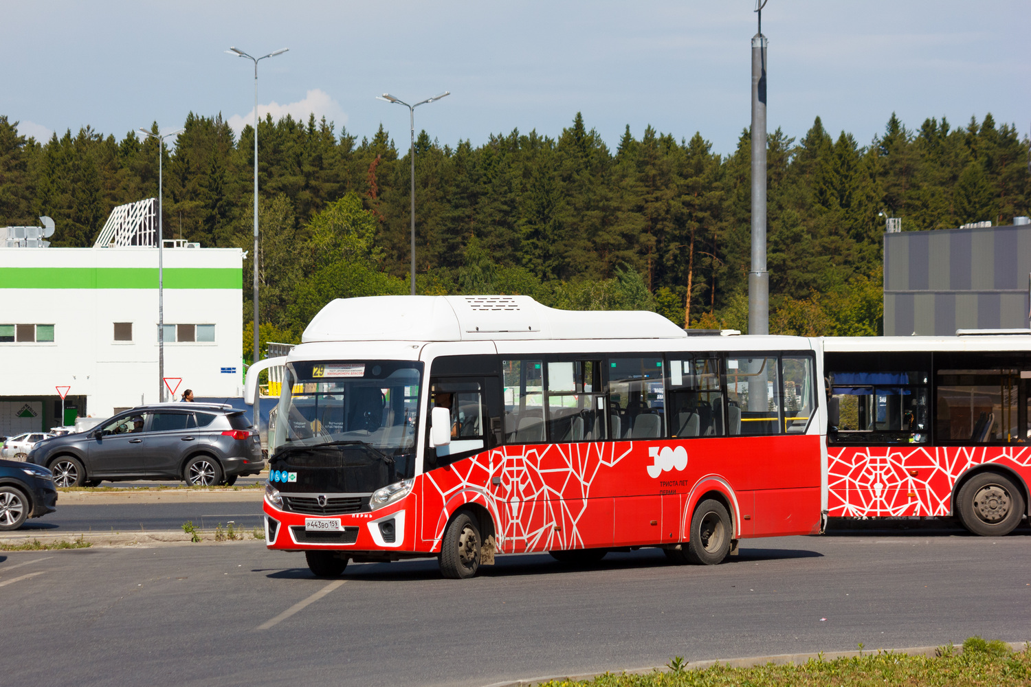 Пермский край, ПАЗ-320415-14 "Vector Next" № Р 443 ВО 159