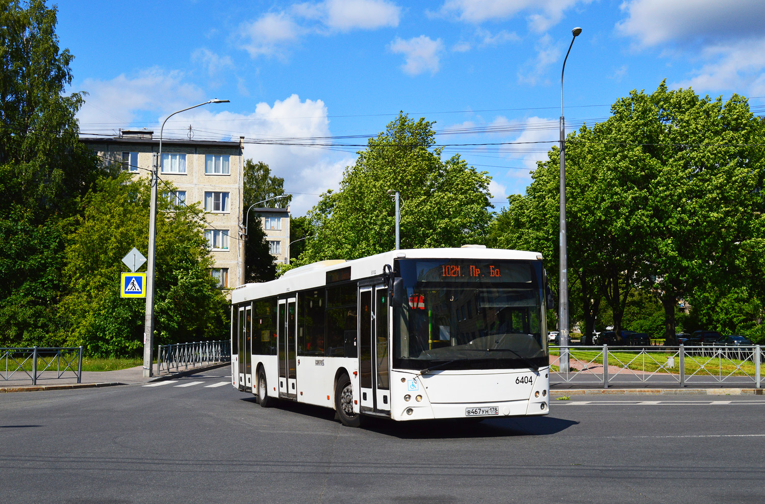 Санкт-Петербург, МАЗ-203.085 № 6404