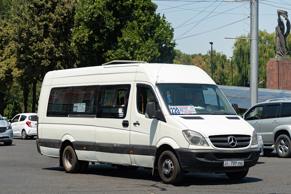 Кыргызстан, Самотлор-НН-323911 (MB Sprinter 515CDI) № 01 789 ANG