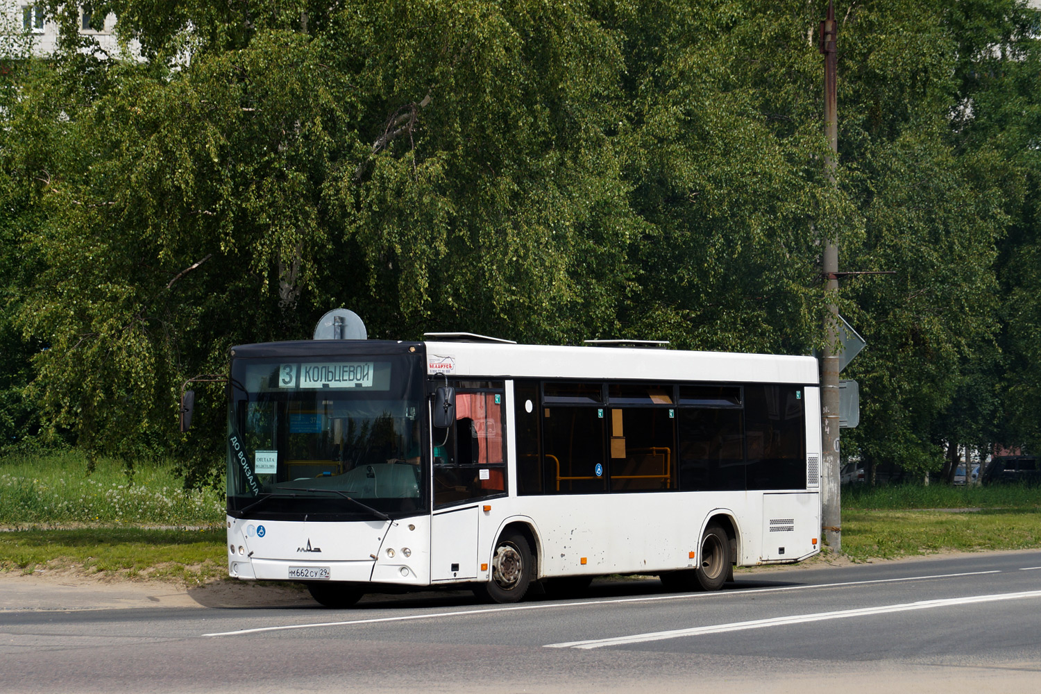 Архангельская область, МАЗ-206.085 № М 662 СУ 29