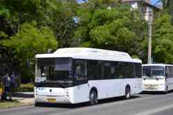 589 КБ