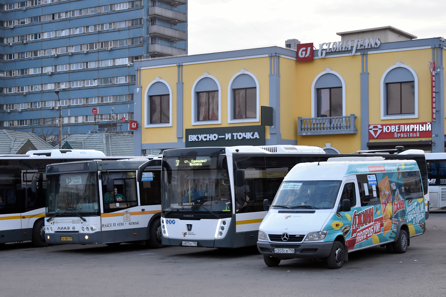 Московская область, Луидор-223237 (MB Sprinter Classic) № С 203 СВ 750