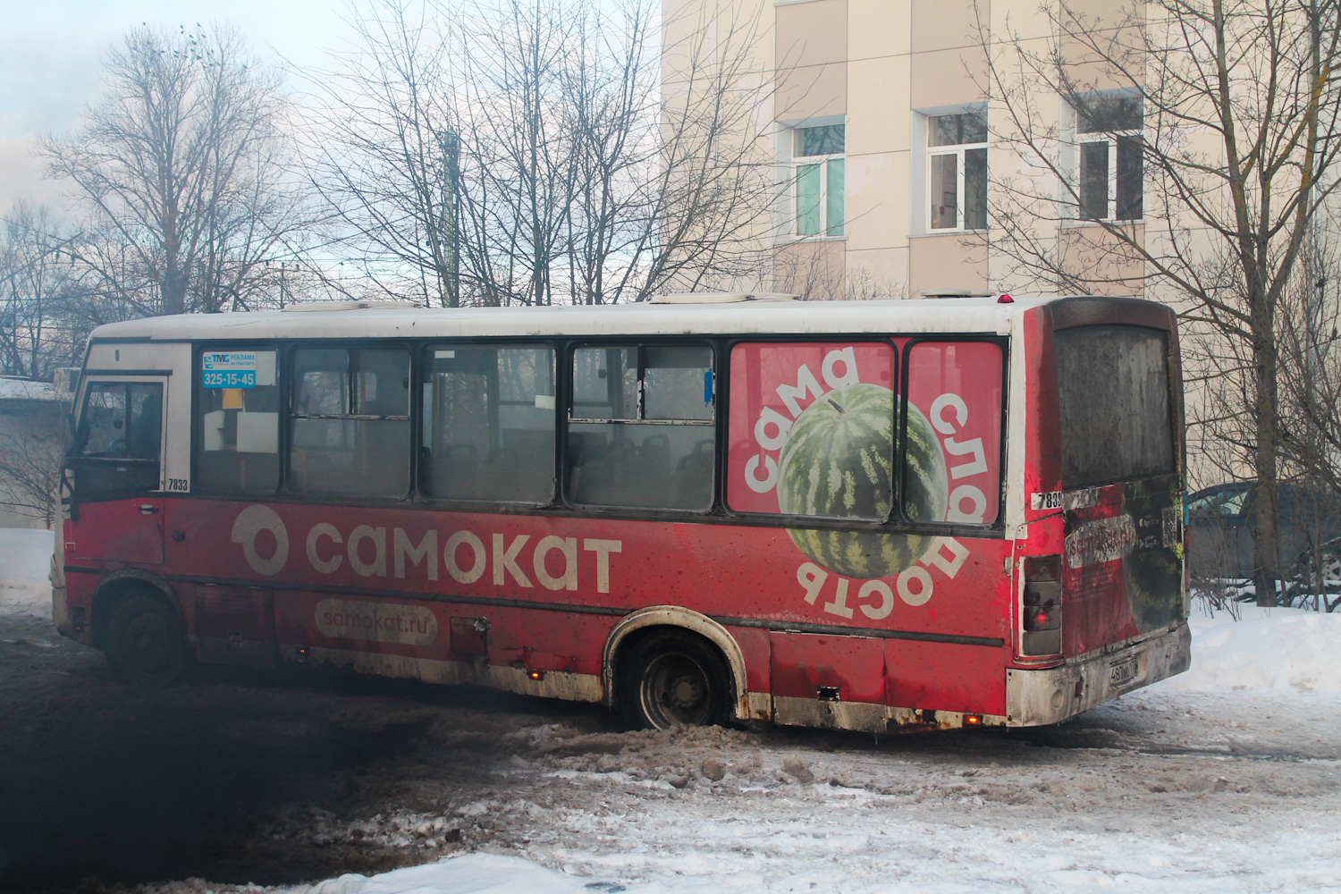 Ленинградская область, ПАЗ-320412-05 № 7833