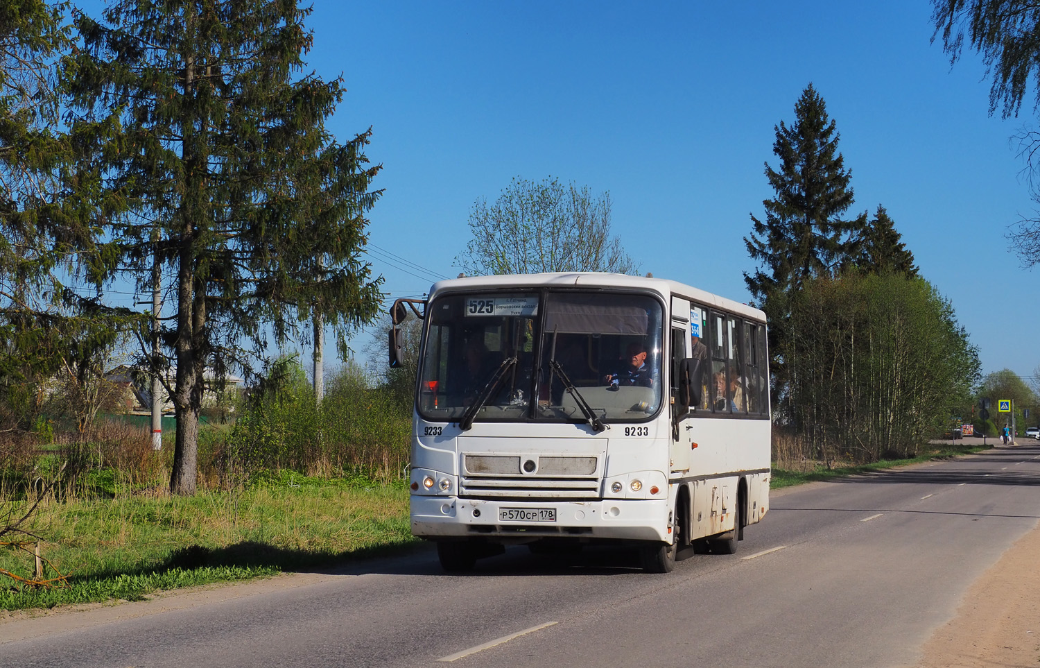 Ленинградская область, ПАЗ-320402-05 № 9233