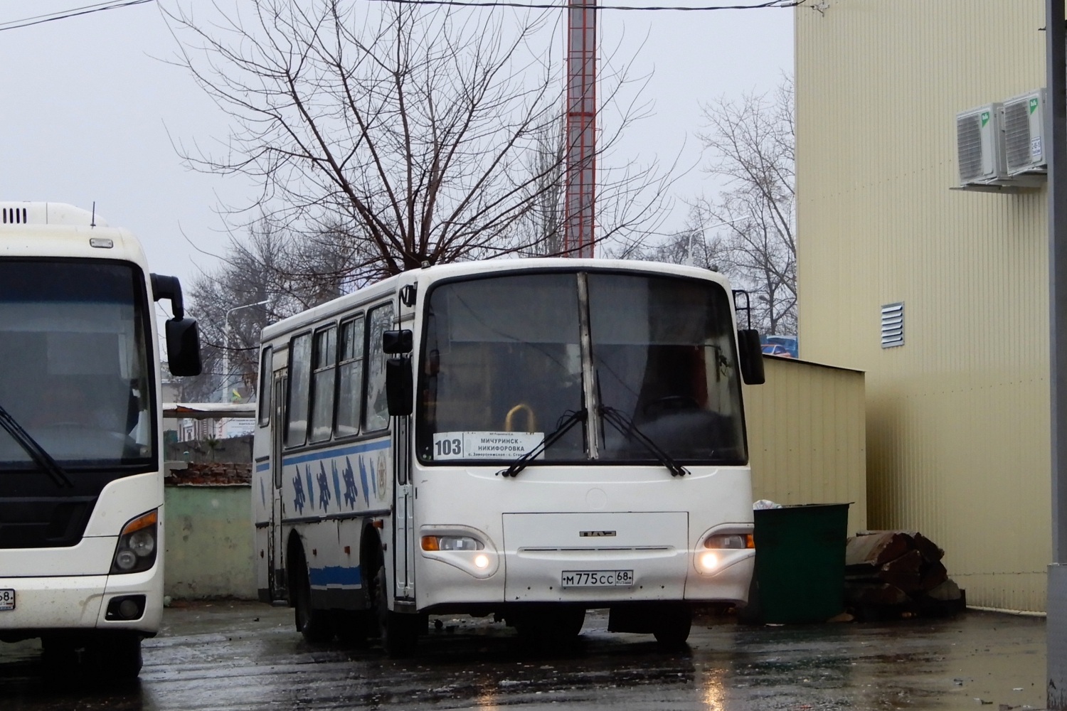 Тамбовская область, ПАЗ-4230-01 (2-2) № М 775 СС 68