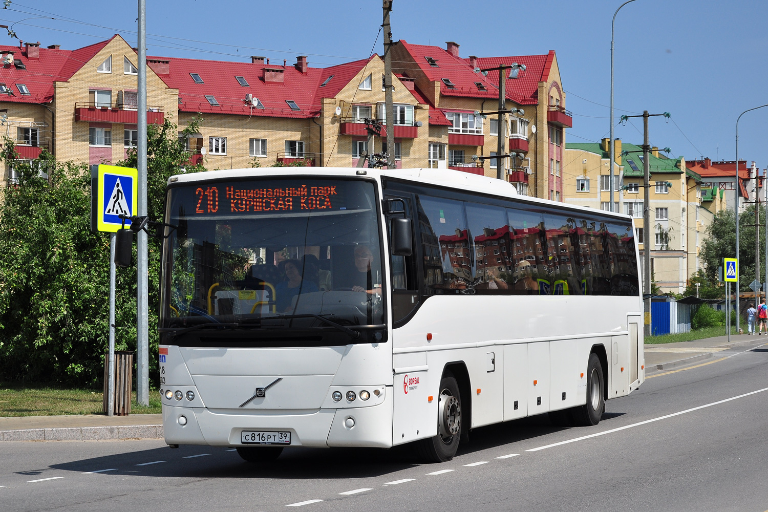 Калининградская область, Volvo 8700 № С 816 РТ 39