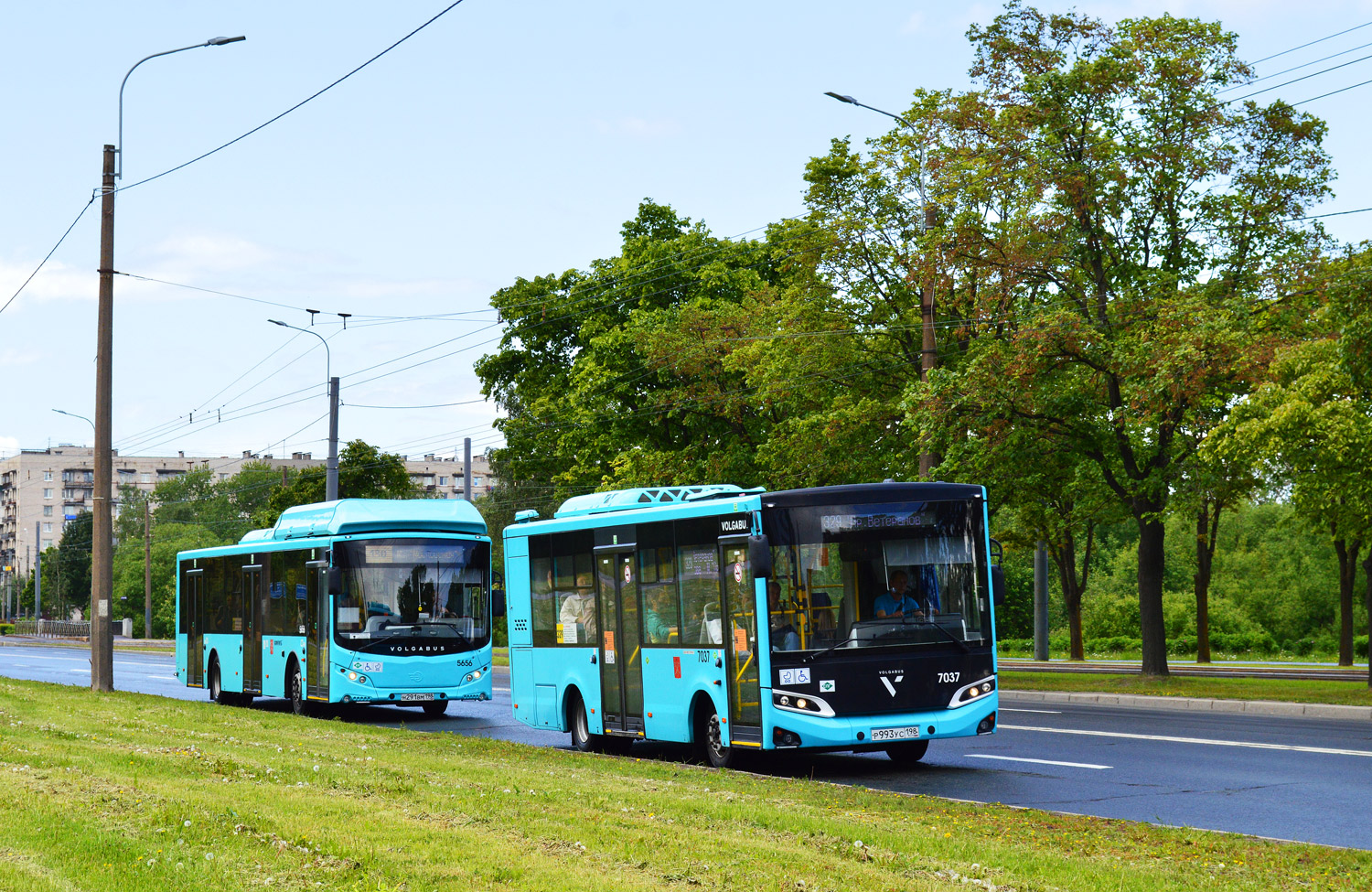 Санкт-Петербург, Volgabus-4298.G4 (LNG) № 7037