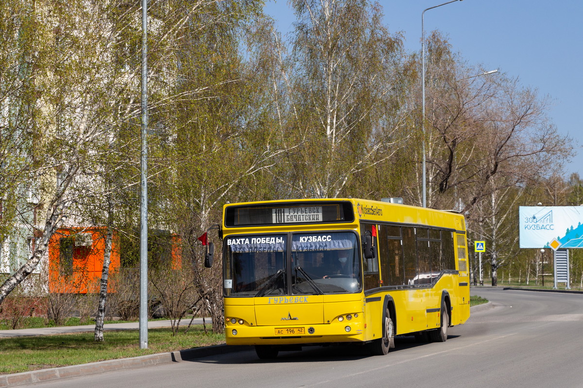 Кемеровская область - Кузбасс, МАЗ-103.465 № 55