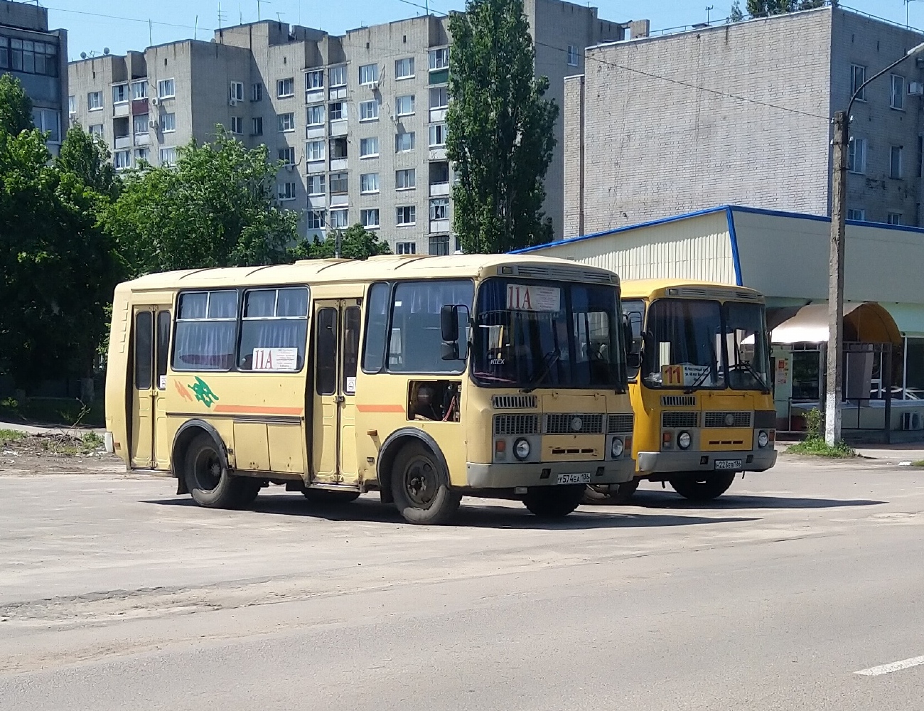 Воронежская область, ПАЗ-32053 № У 574 ЕА 136