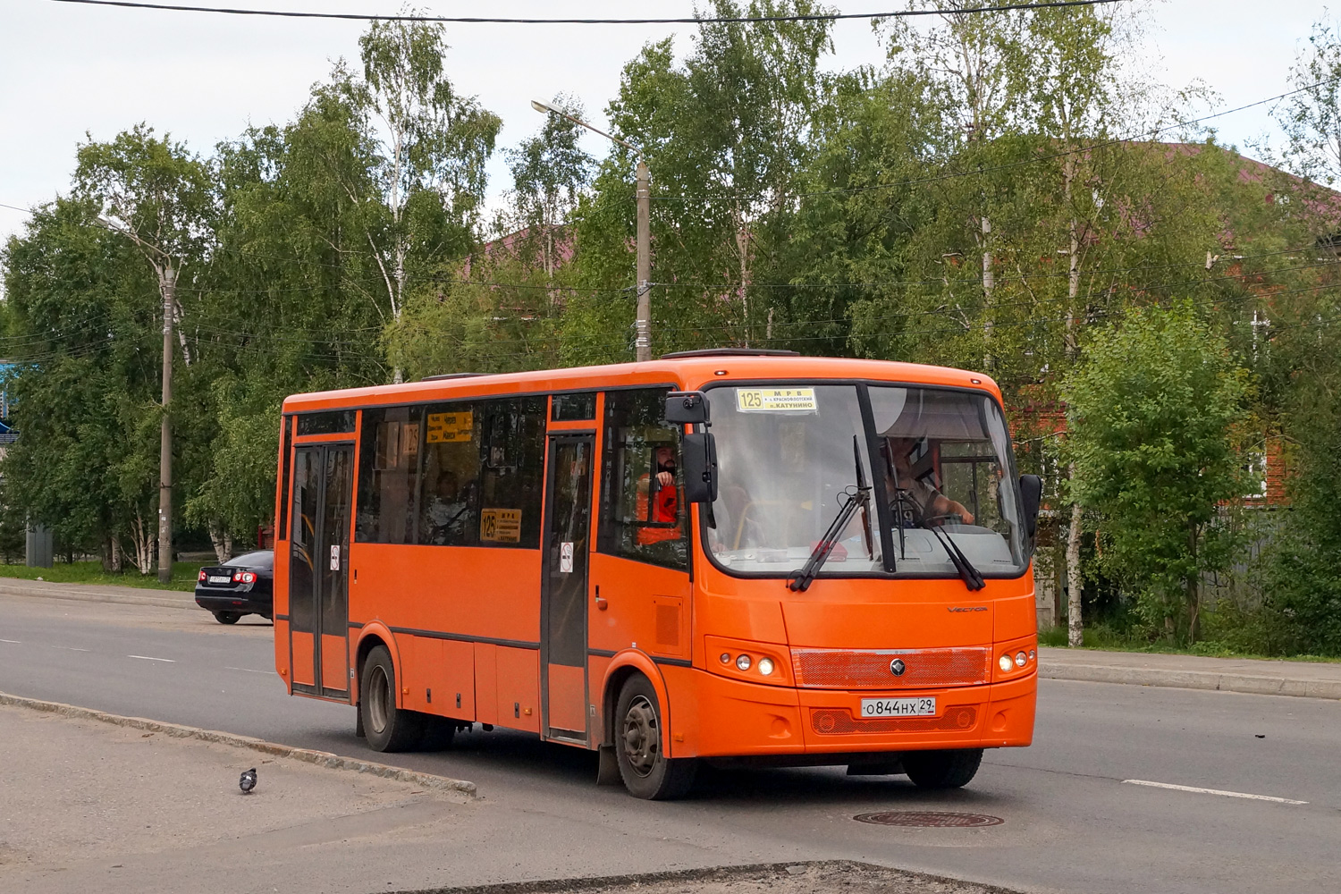 Архангельская область, ПАЗ-320414-04 "Вектор" № О 844 НХ 29