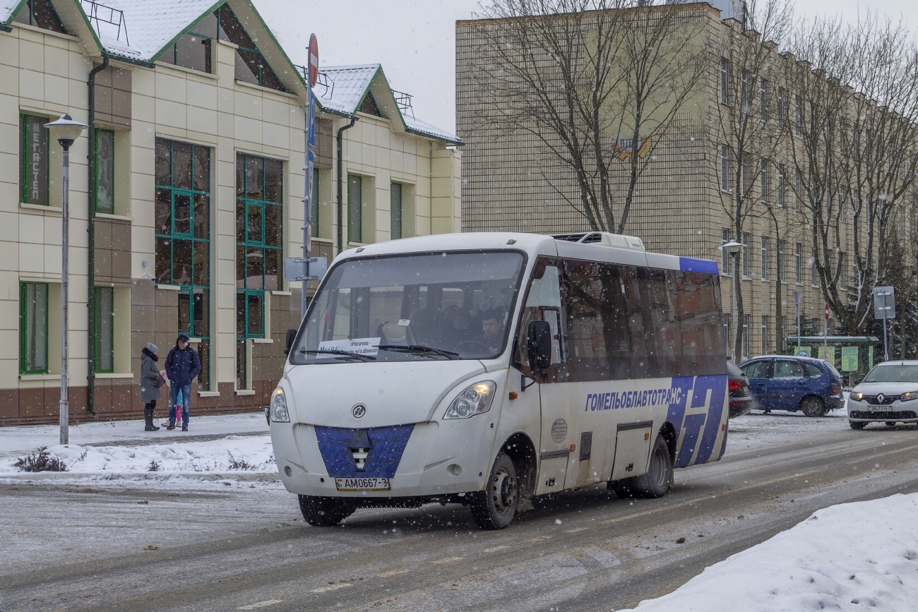 Гомельская область, Неман-420222 № 033162