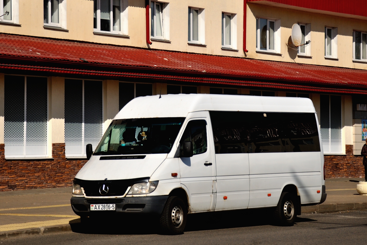 Минская область, Mercedes-Benz Sprinter № АХ 2816-5 Минская область, Mercedes-Benz Sprinter № АХ 2816-5