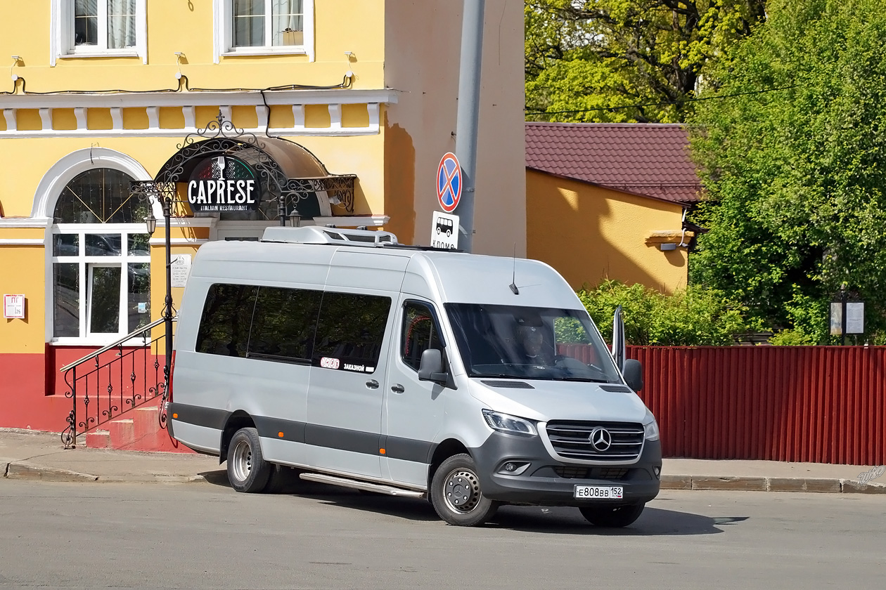 Нижегородская область, Луидор-223602 (MB Sprinter) № Е 808 ВВ 152