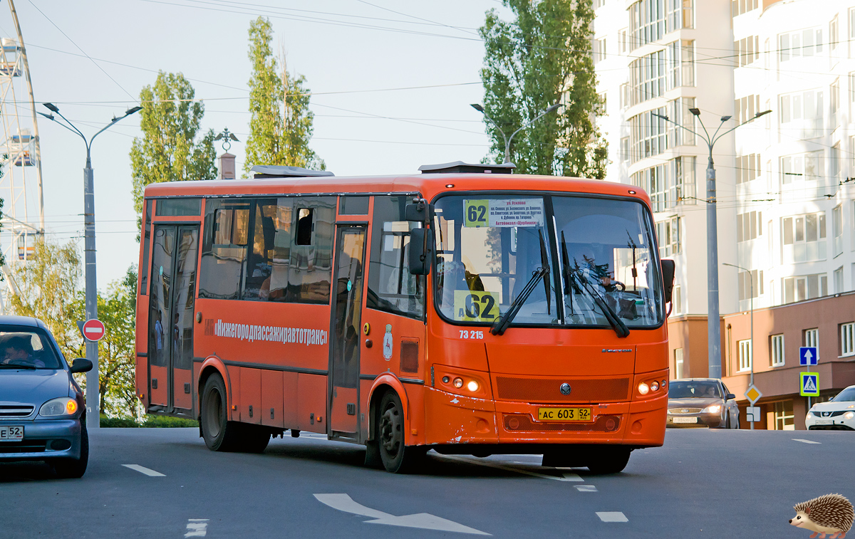 Нижегородская область, ПАЗ-320414-05 "Вектор" (1-2) № 73215