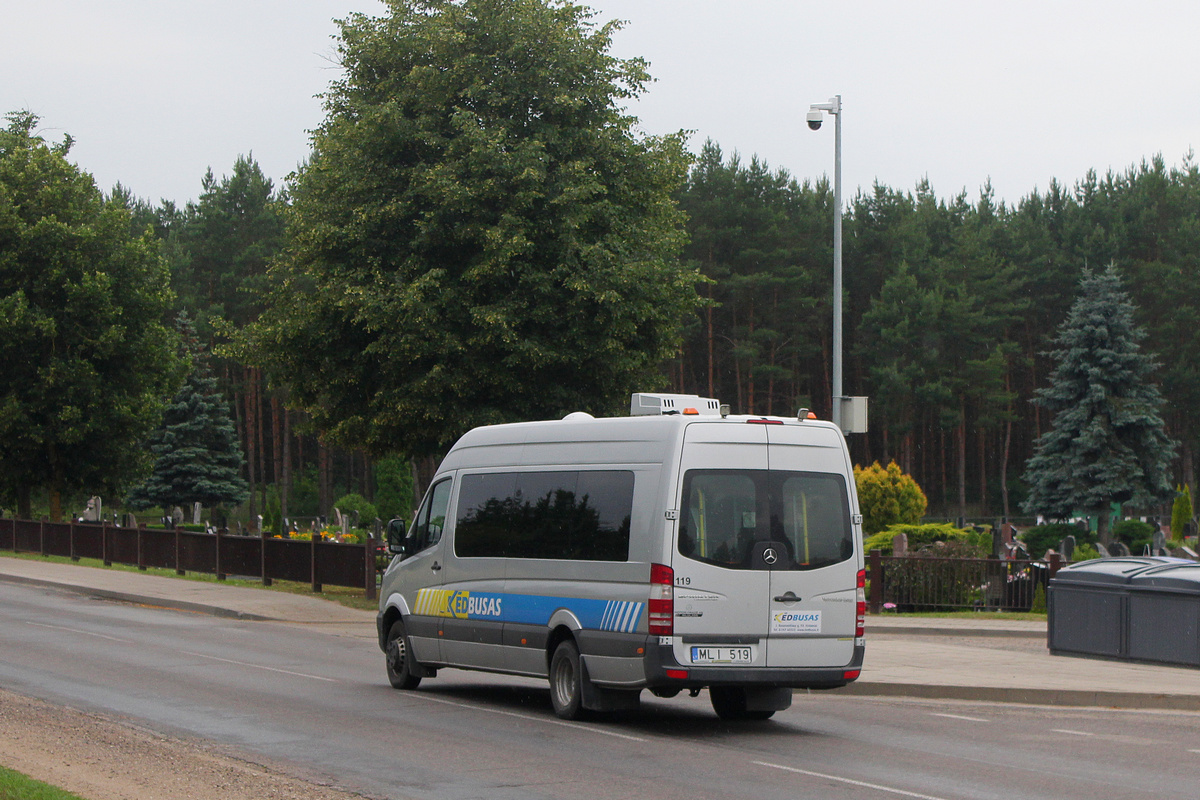 Литва, Mercedes-Benz Sprinter Transfer 45 № 119