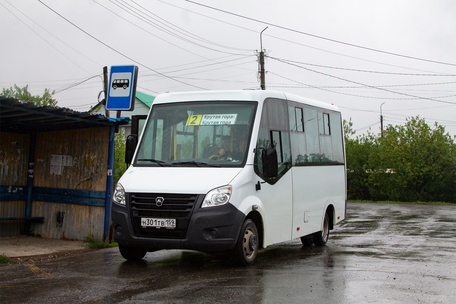 Пермский край, ГАЗ-A64R45 Next № Н 301 ТВ 159