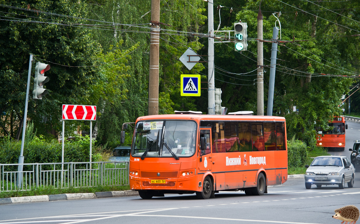 Нижегородская область, ПАЗ-320414-05 "Вектор" (1-2) № 73215