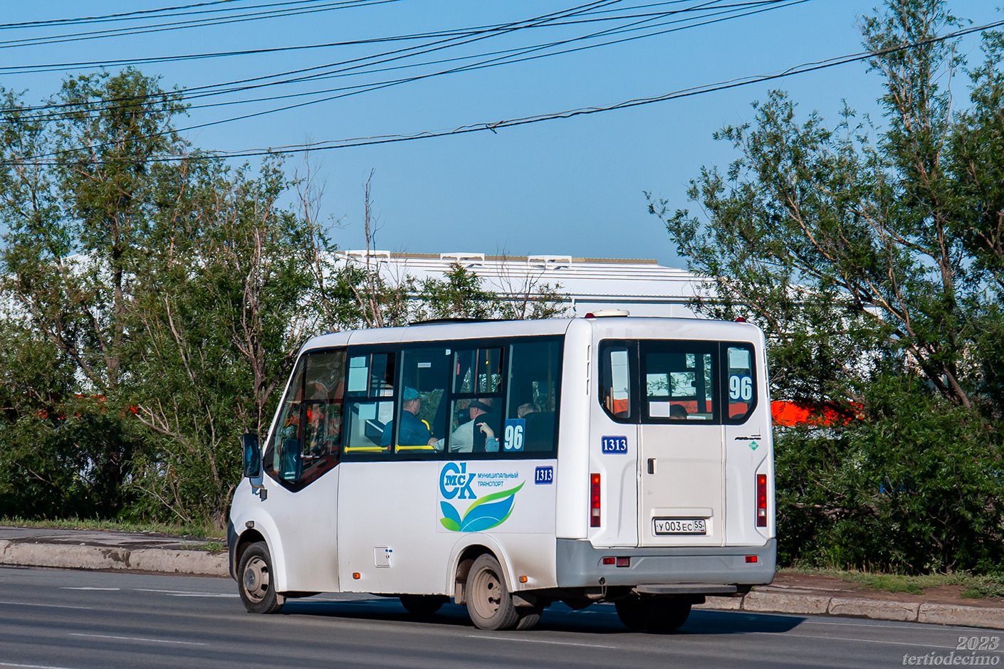 Omsk region, Luidor-2250DS (GAZ Next) № 1313