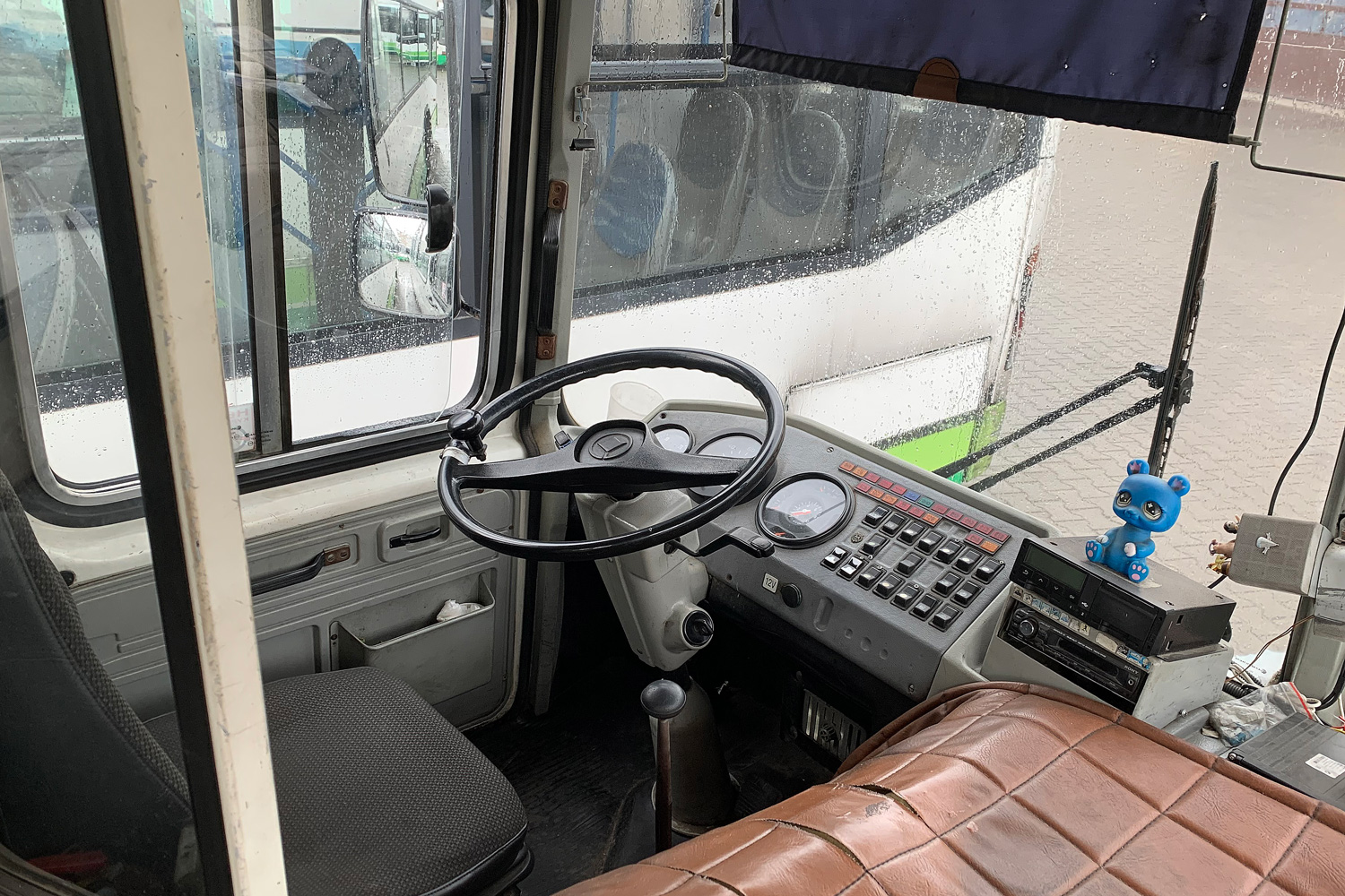 Калининградская область, ПАЗ-4234 № С 428 СК 39