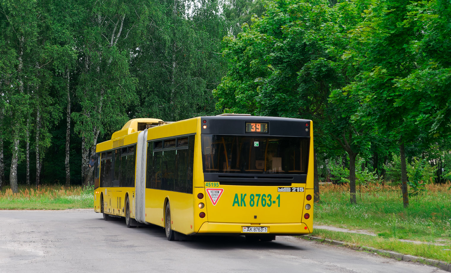 Брестская область, МАЗ-215.069 № 45195