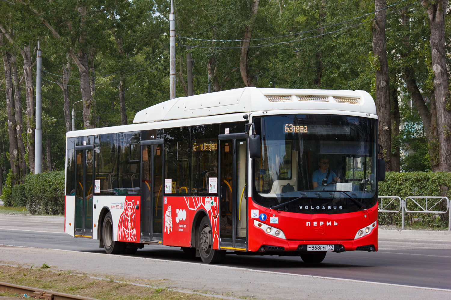 Пермский край, Volgabus-5270.G2 (CNG) № М 868 РМ 159