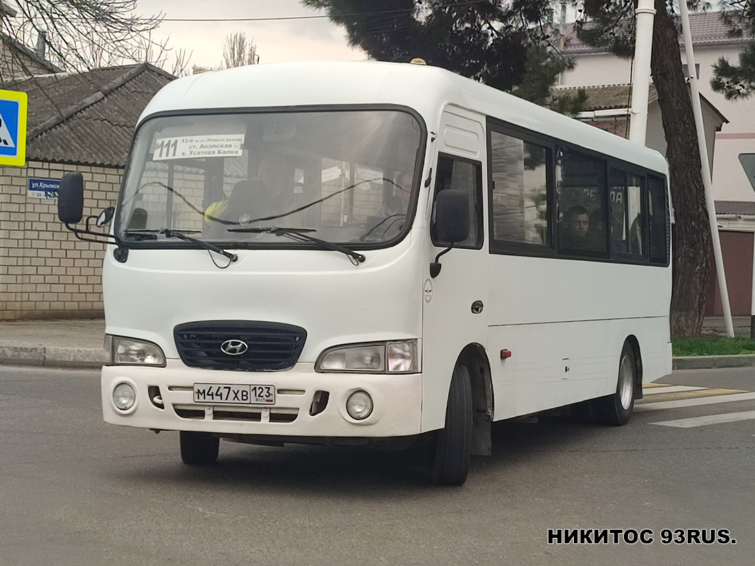 Краснодарский край, Hyundai County LWB C09 (ТагАЗ) № М 447 ХВ 123