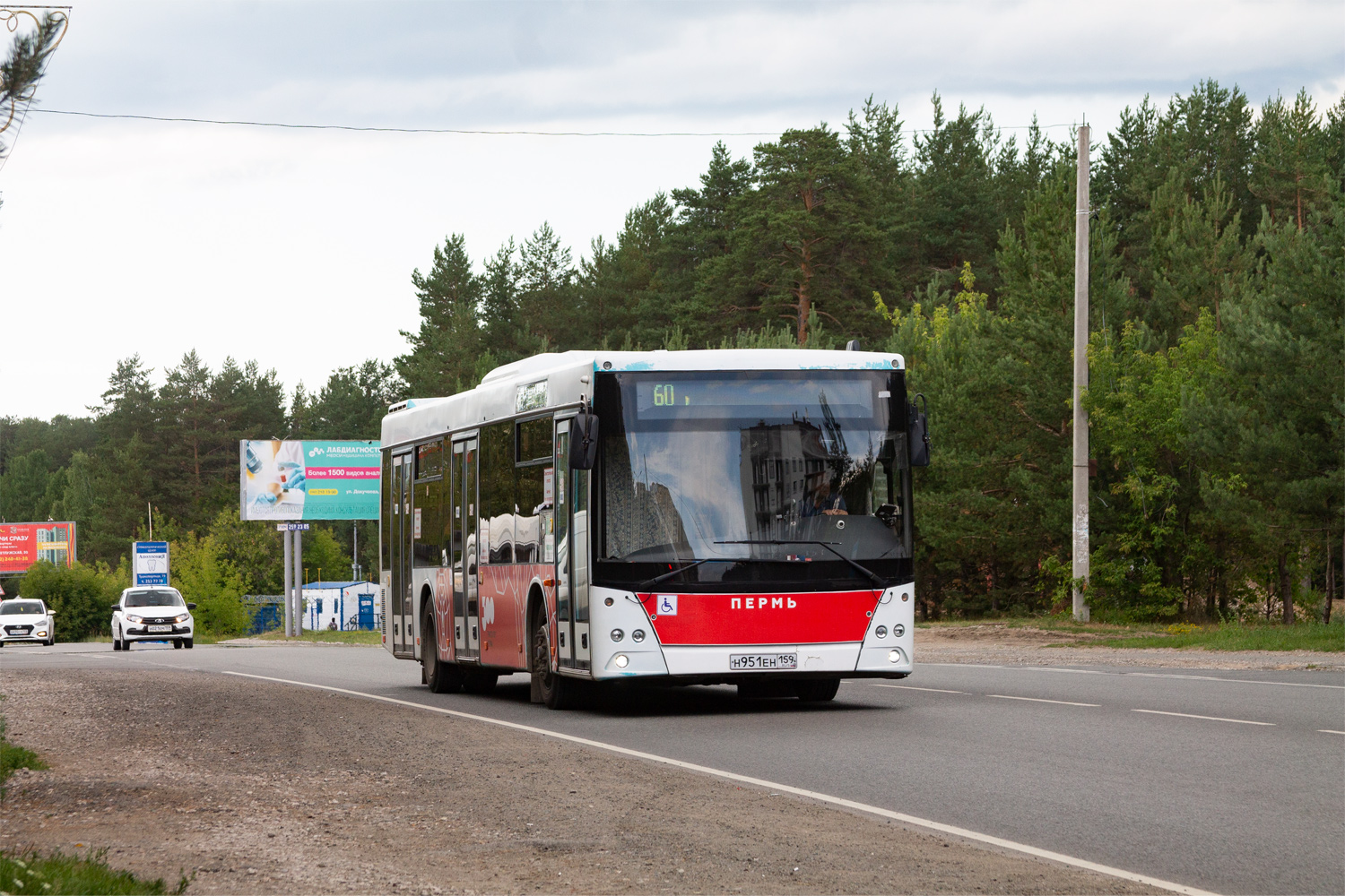 Пермский край, МАЗ-203.016 № Н 951 ЕН 159