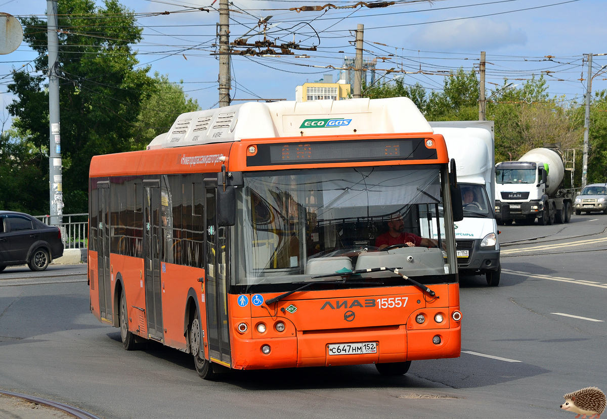 Нижегородская область, ЛиАЗ-5292.67 (CNG) № 15557