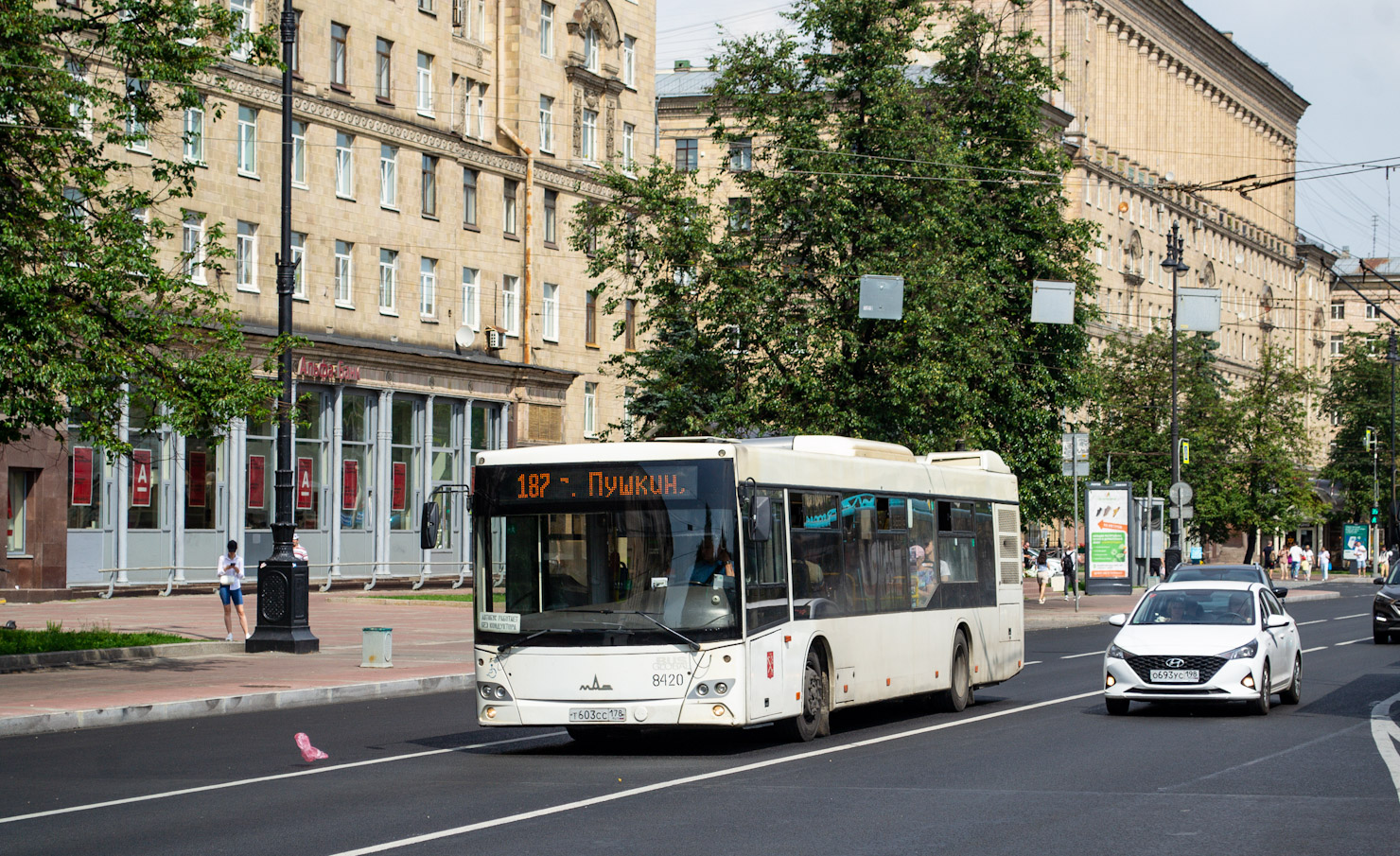 Санкт-Петербург, МАЗ-203.085 № 8420