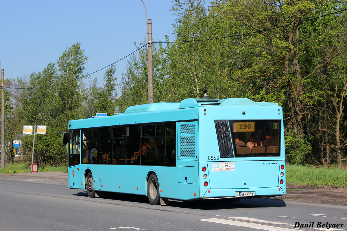 Санкт-Петербург, МАЗ-203.016 № 8563