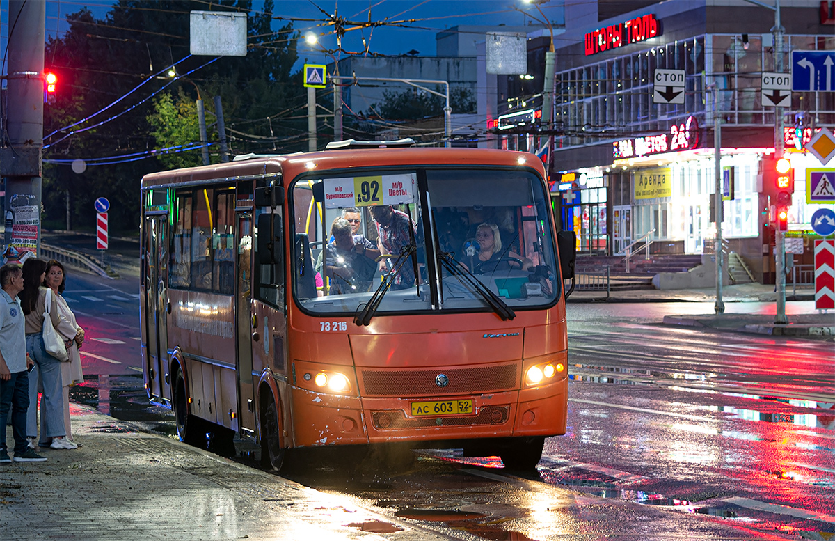 Нижегородская область, ПАЗ-320414-05 "Вектор" (1-2) № 73215