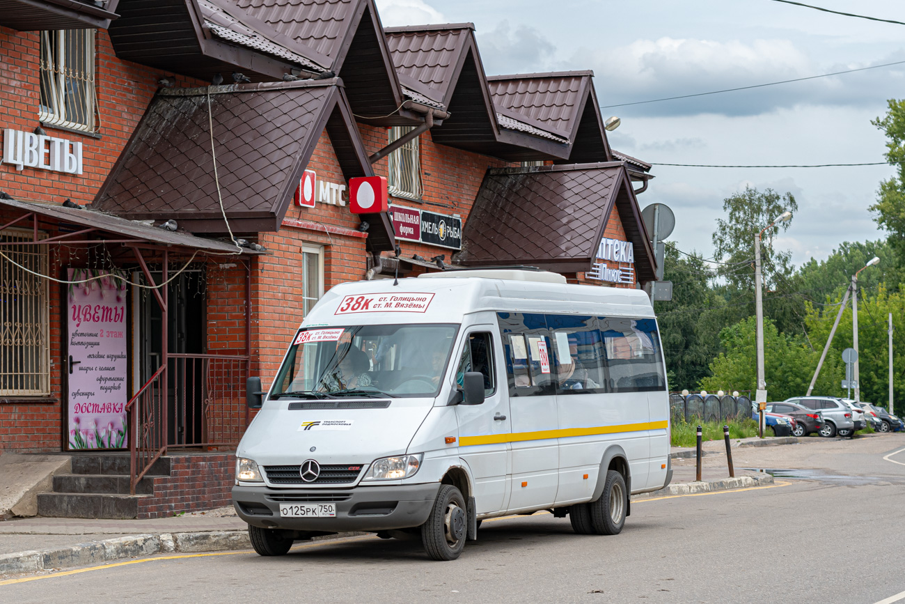 Московская область, Луидор-2232DP (MB Sprinter Classic) № О 125 РК 750