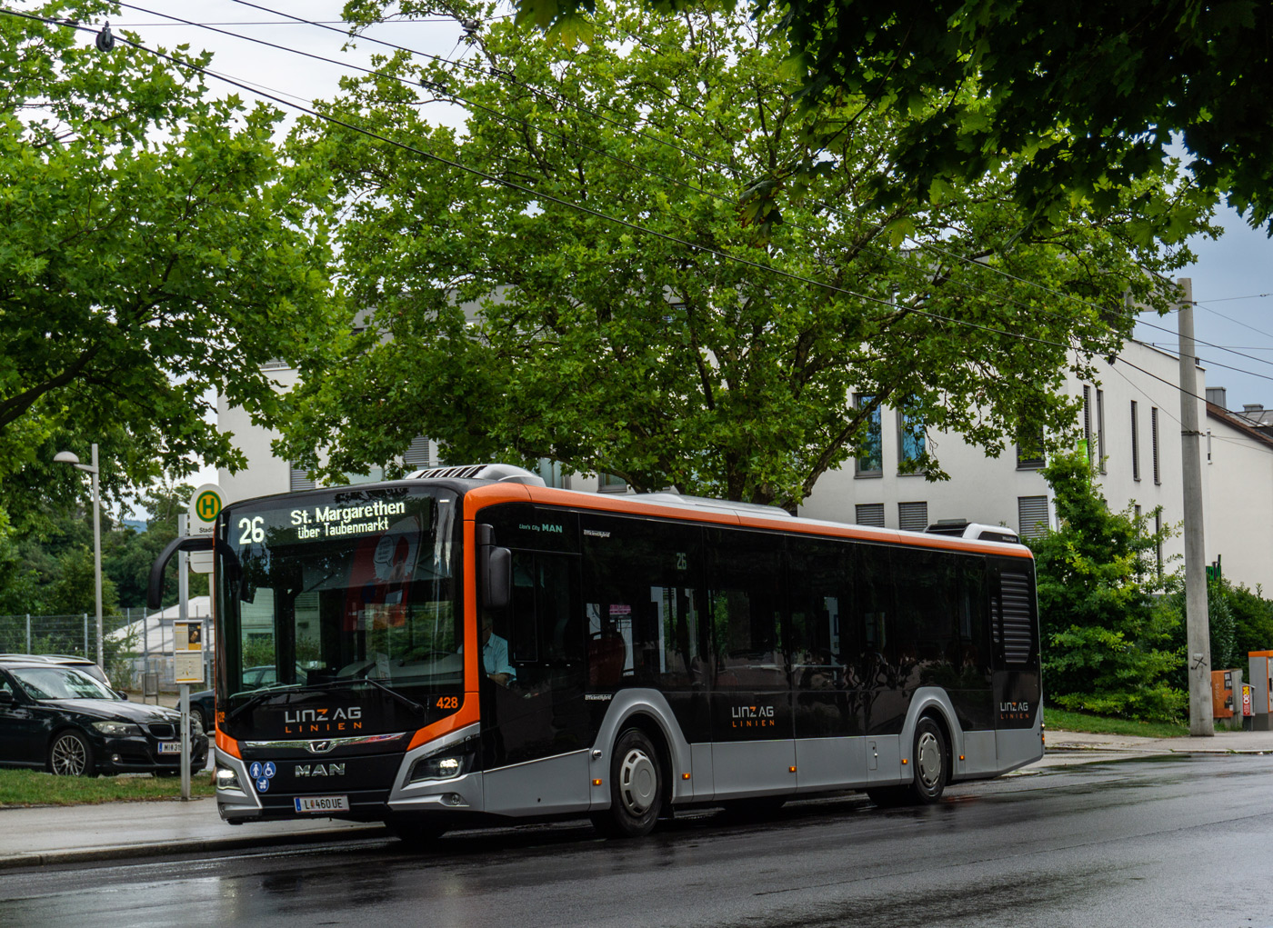 Австрия, MAN 12C Lion's City 12 NL360 EfficientHybrid № 428