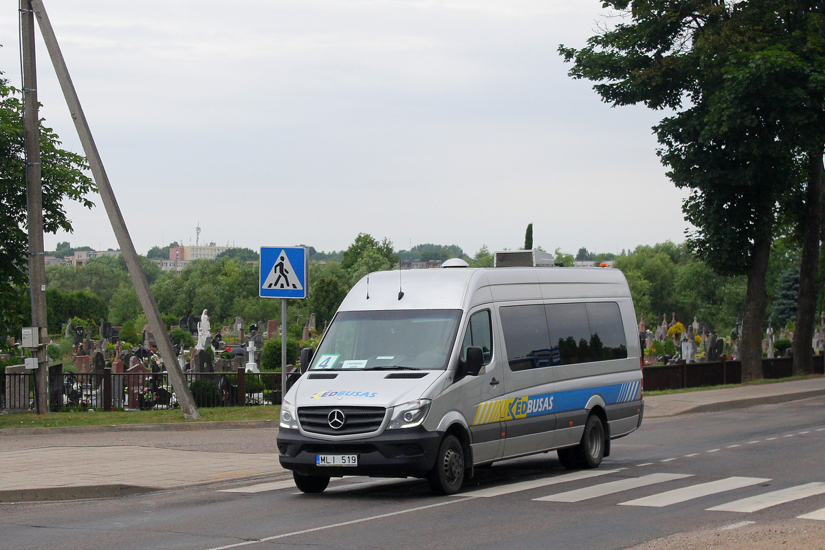 Литва, Mercedes-Benz Sprinter Transfer 45 № 119