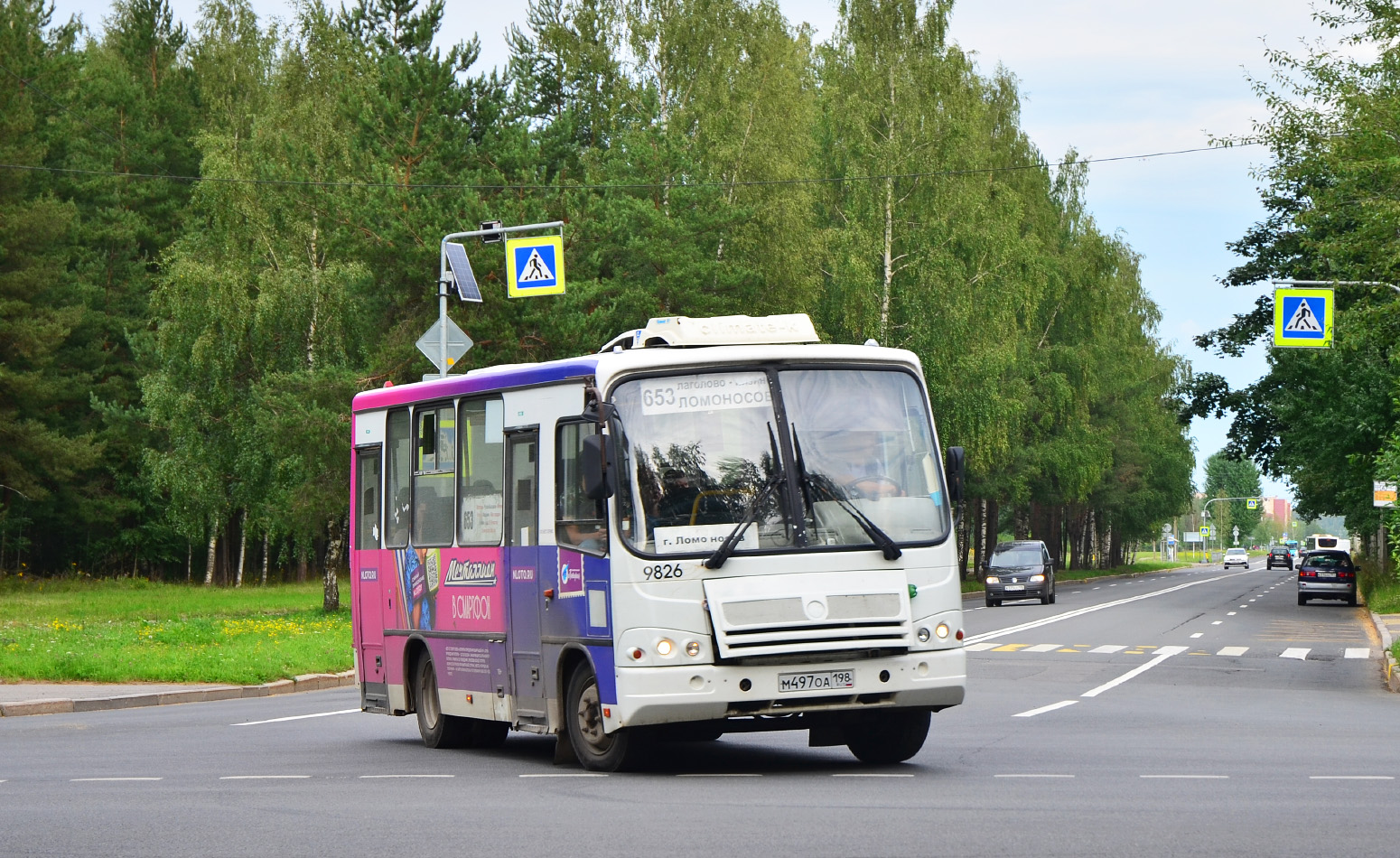 Ленинградская область, ПАЗ-320302-11 № 9826