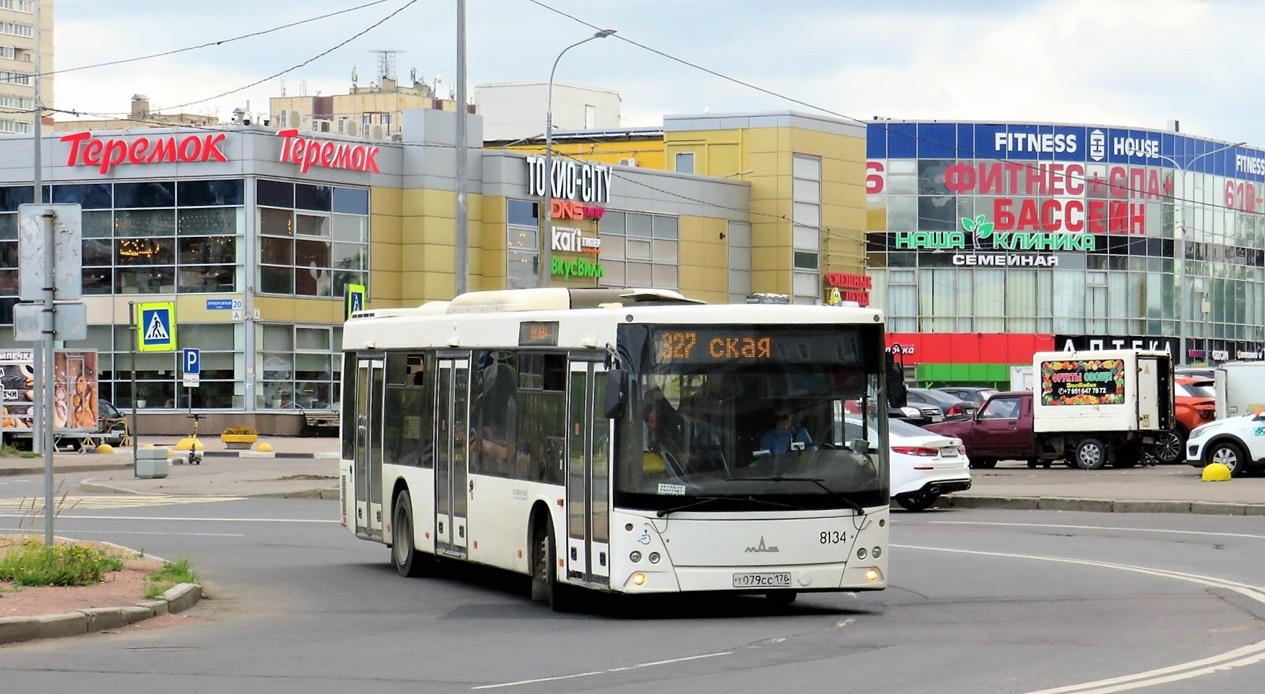 Санкт-Петербург, МАЗ-203.085 № 8134